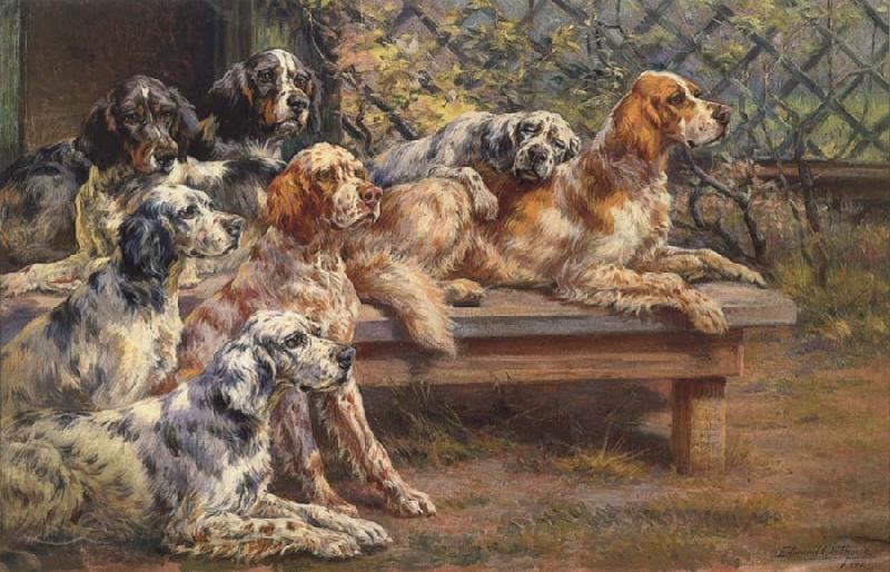 Osthaus, Edmund Henry Seven English Setters Norge oil painting art